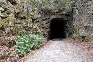Stump House Tunnel